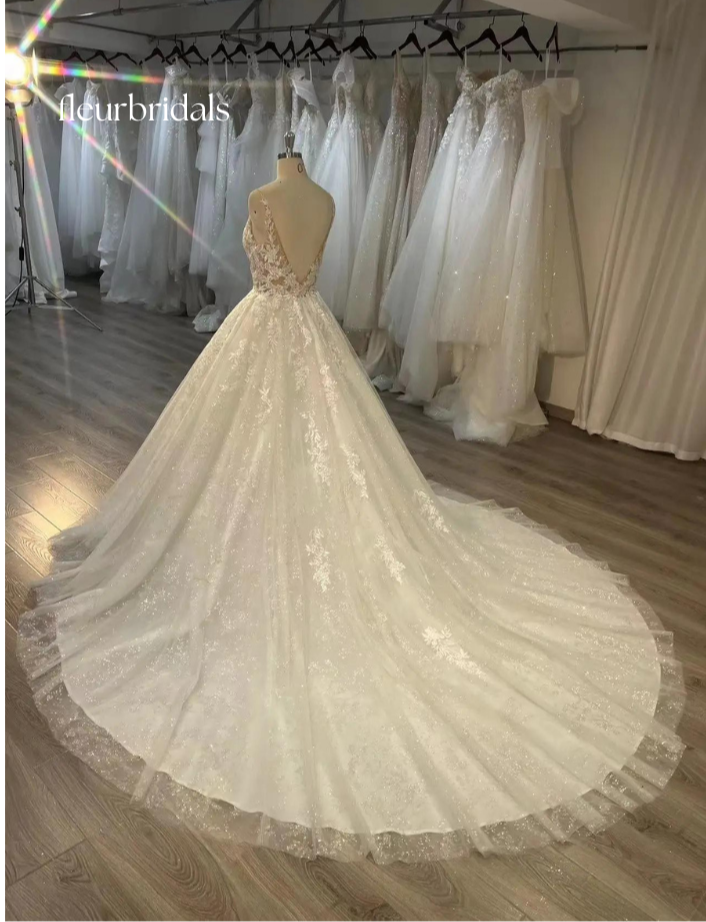 Sexy Backless Scoop Lace Wedding Dresses For Bride France Court Train Glitter Skirt A Line Sleeveless Women Bridal Gown